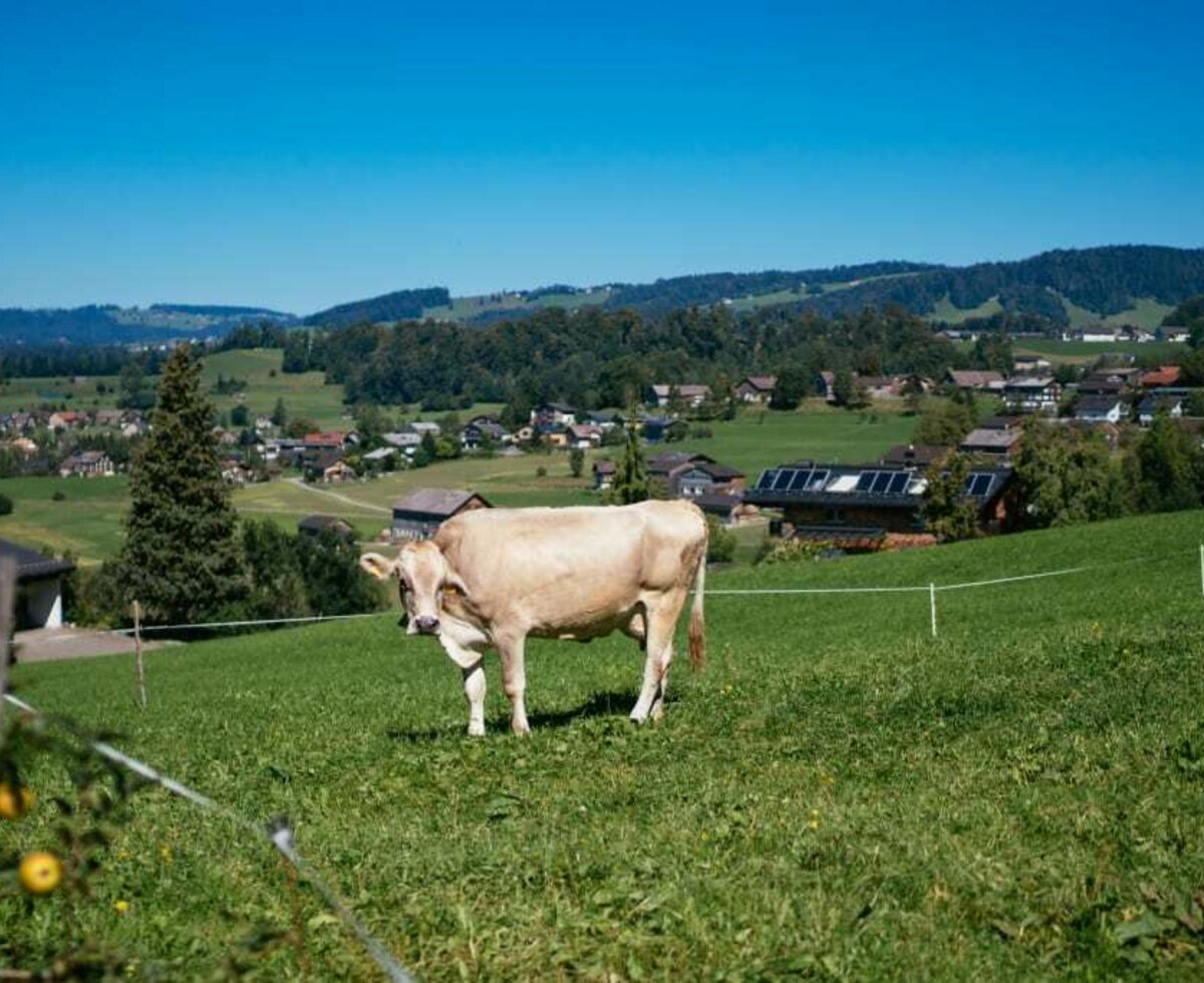 Urlaub am Bauernhof Vorarlberg. Urlaub bei Familie Köss Schertler.