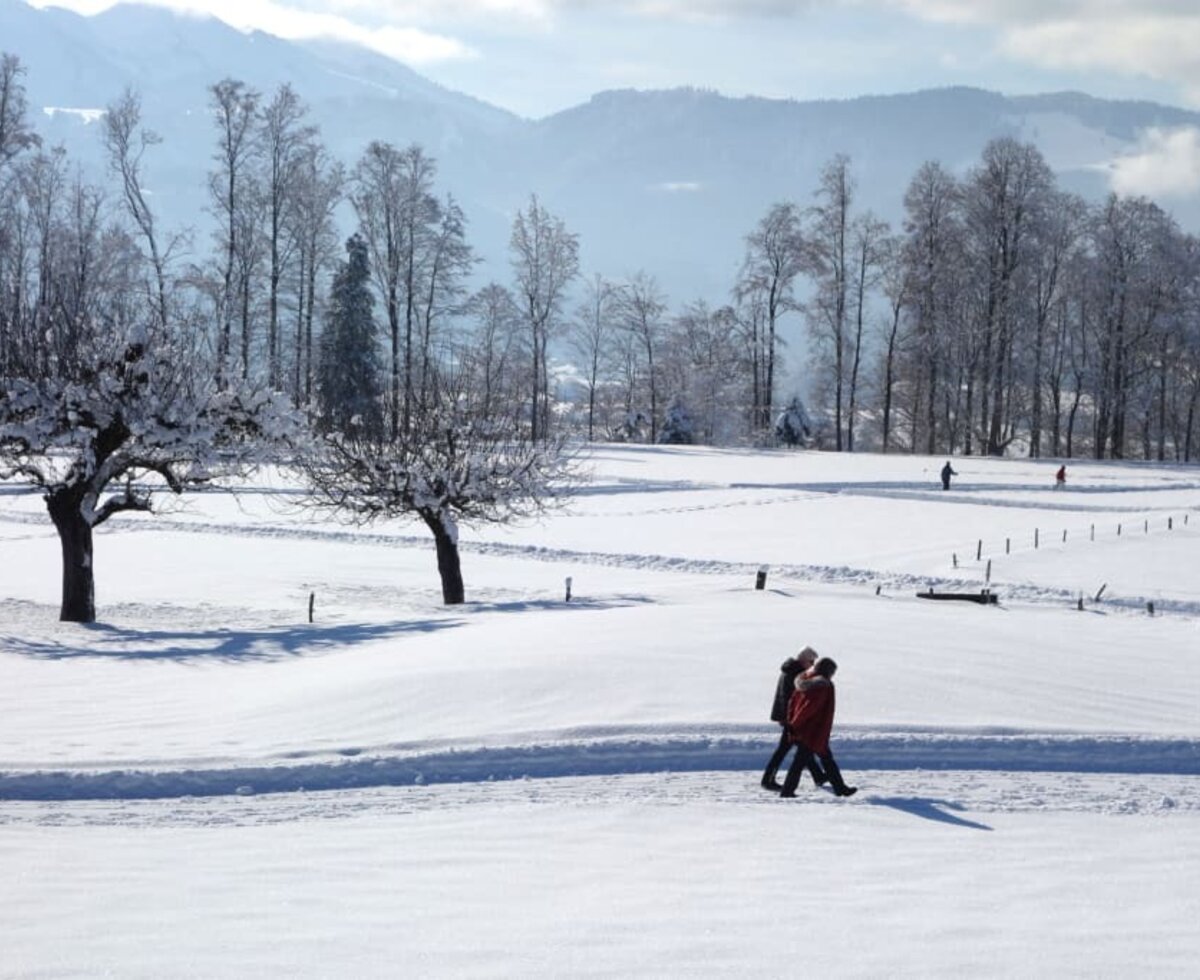 Genießen Sie Ihren Winterurlaub in Egg im Bregenzerwald.