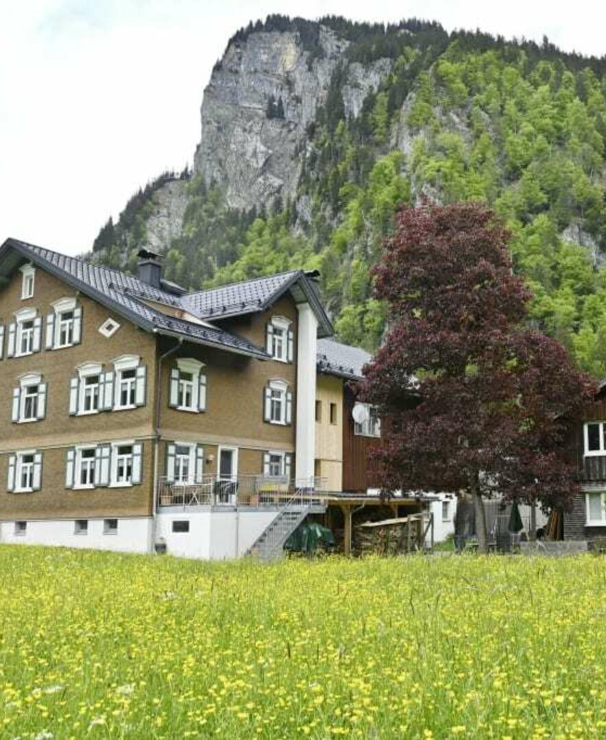 Wiese mit unserem Bauernhaus im Hintergrund