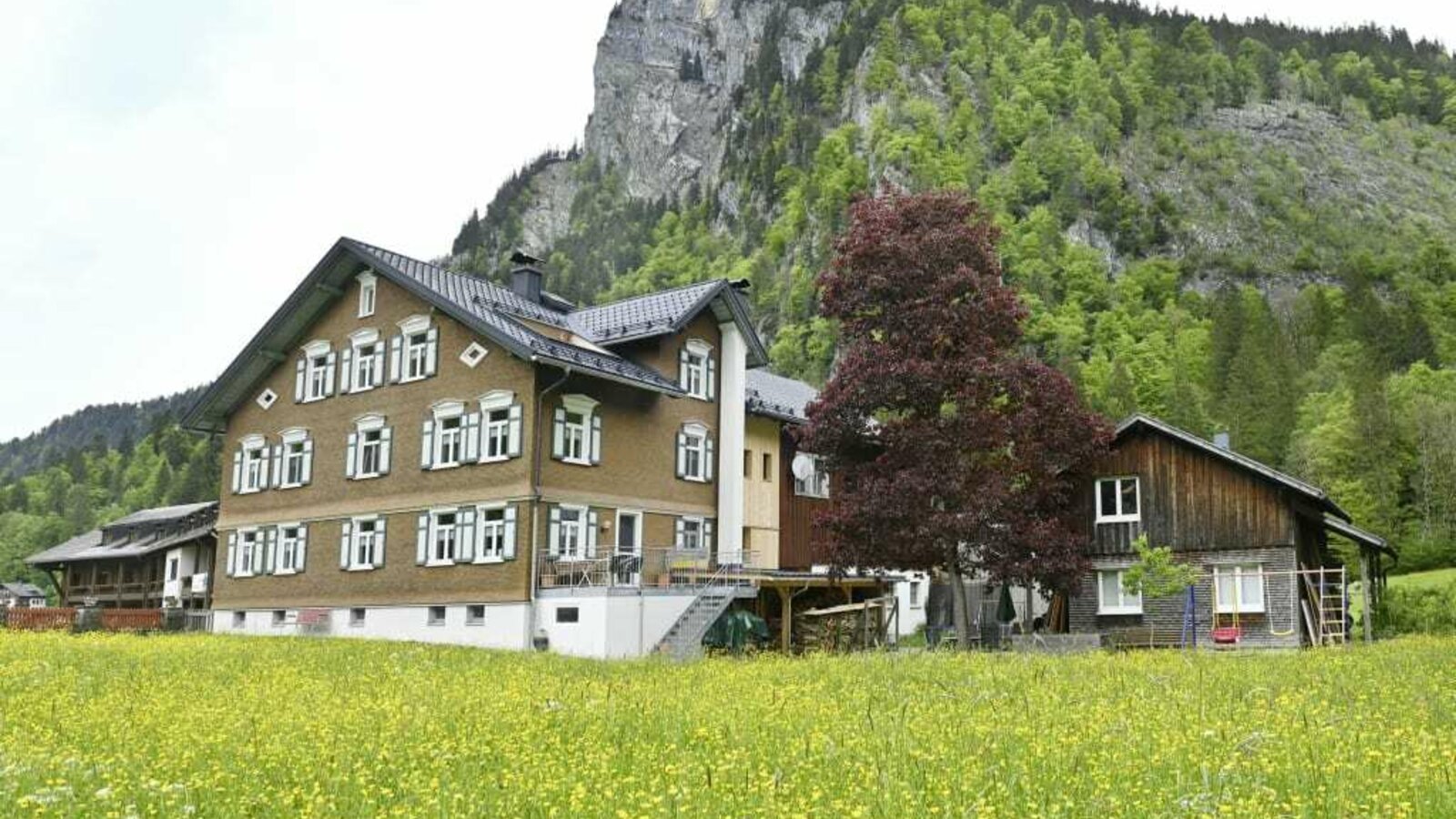 Wiese mit unserem Bauernhaus im Hintergrund