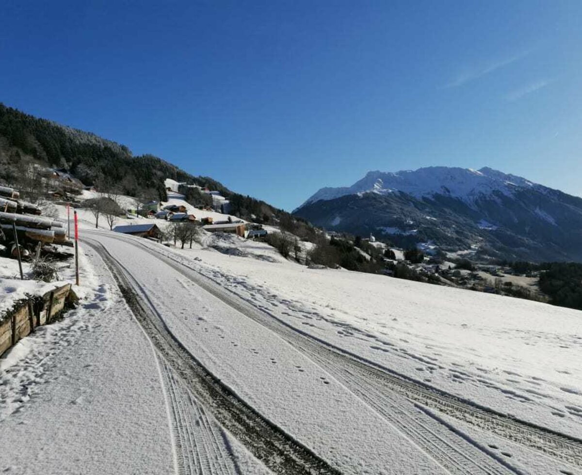 unsere Zufahrt - wunderbar verschneit