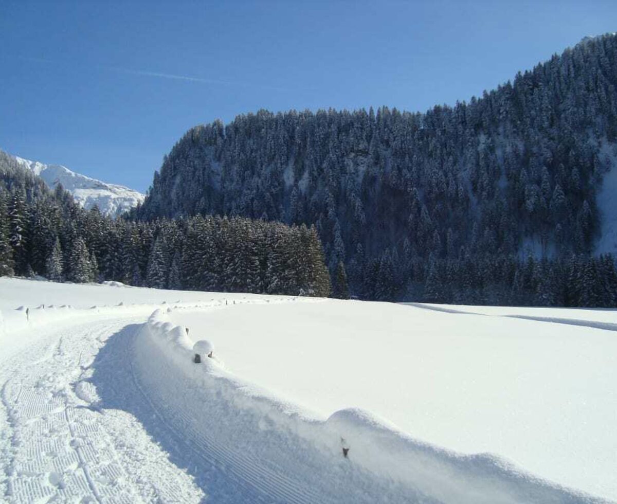 Winterwandern in Au-Schoppernau