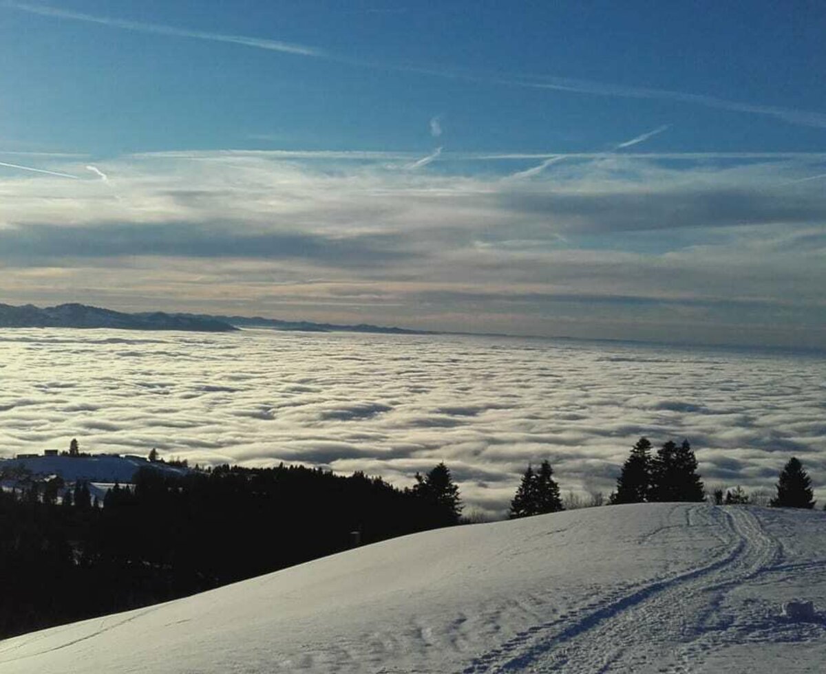 Unser Bauernhof ist der höchstgelegene Hof in der Region. Genießen Sie den fantastischen Blick über den Bondensee und die Schweizer Bergwelt.