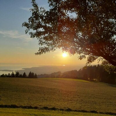 Fantastische Sonnentuntergänge bieten sich Ihnen hier bei uns auf dem Ferienbauernhof Fessler.