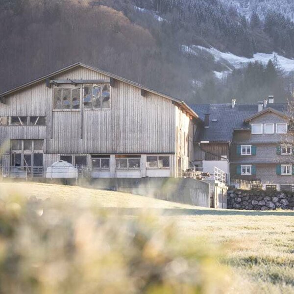 Unser Bauernhof liegt in Au-Schoppernau im Bregenzerwald.