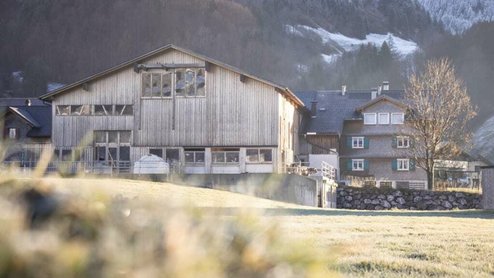 Unser Bauernhof liegt in Au-Schoppernau im Bregenzerwald.