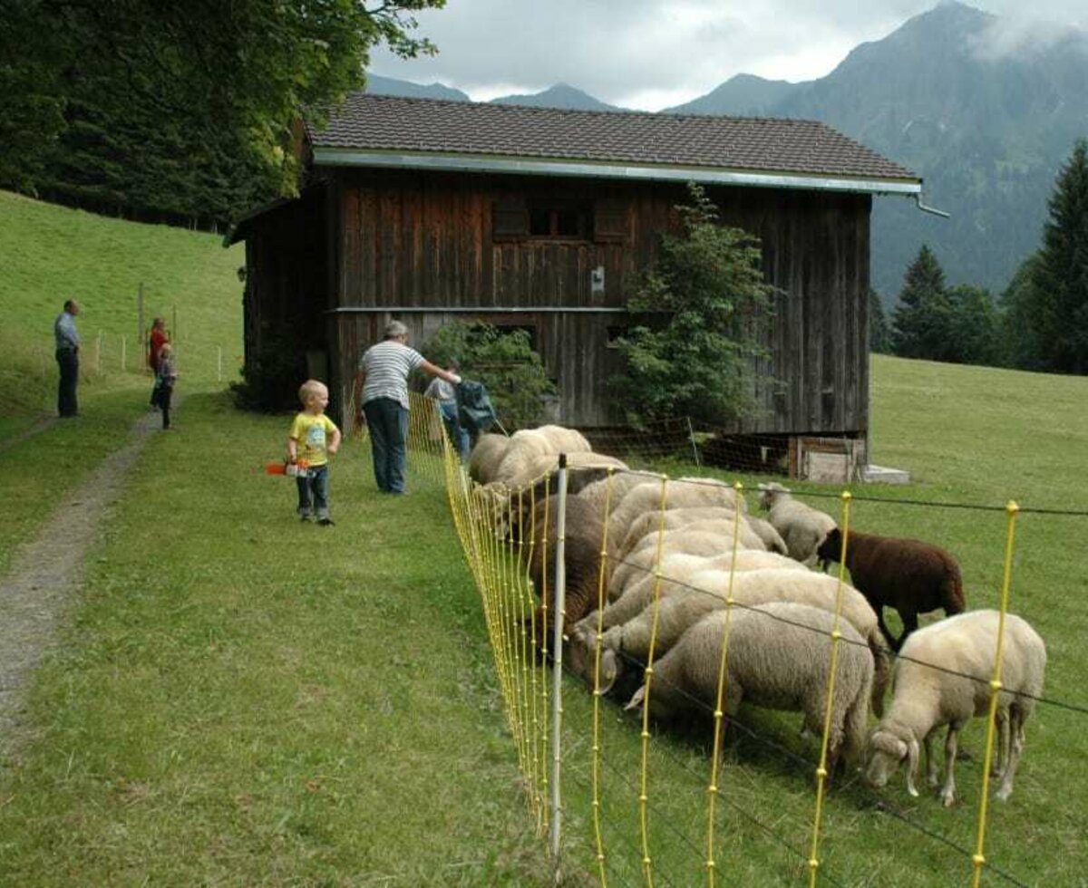 Besuch von unseren Nachbarn