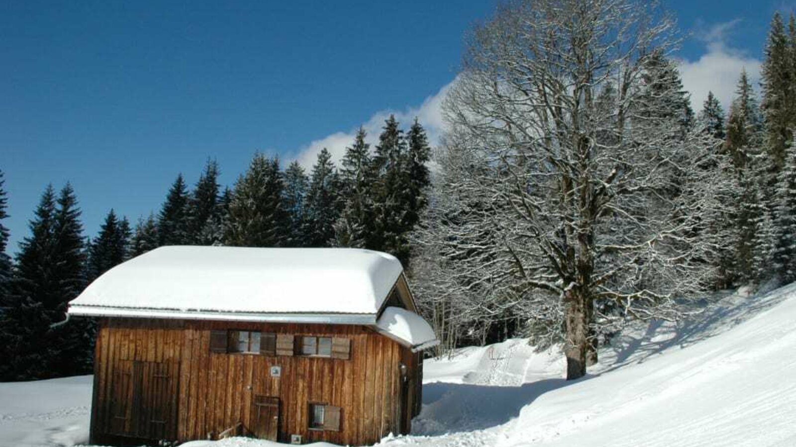 Birihof Winter / Hüttenurlaub