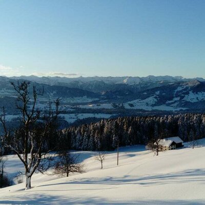 Winter - Blick aus dem Fenster