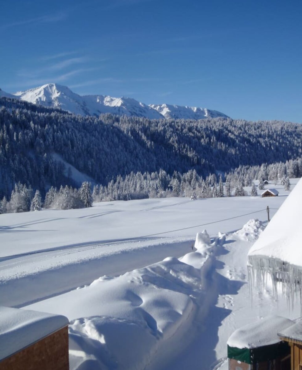 Ausblick vom Balkon