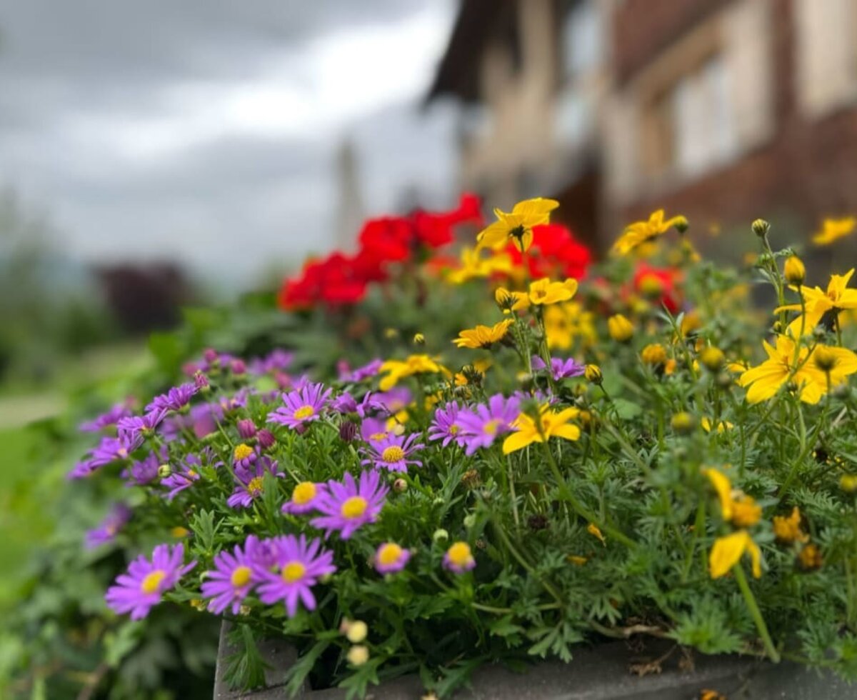 Garten am Schindelhaus vom Ferienhof auf der Heidegg.