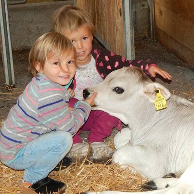 Kinder im Stall