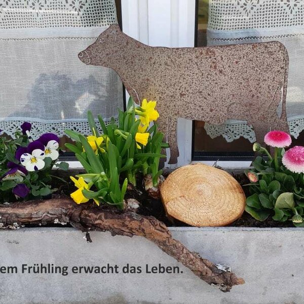 Frühling