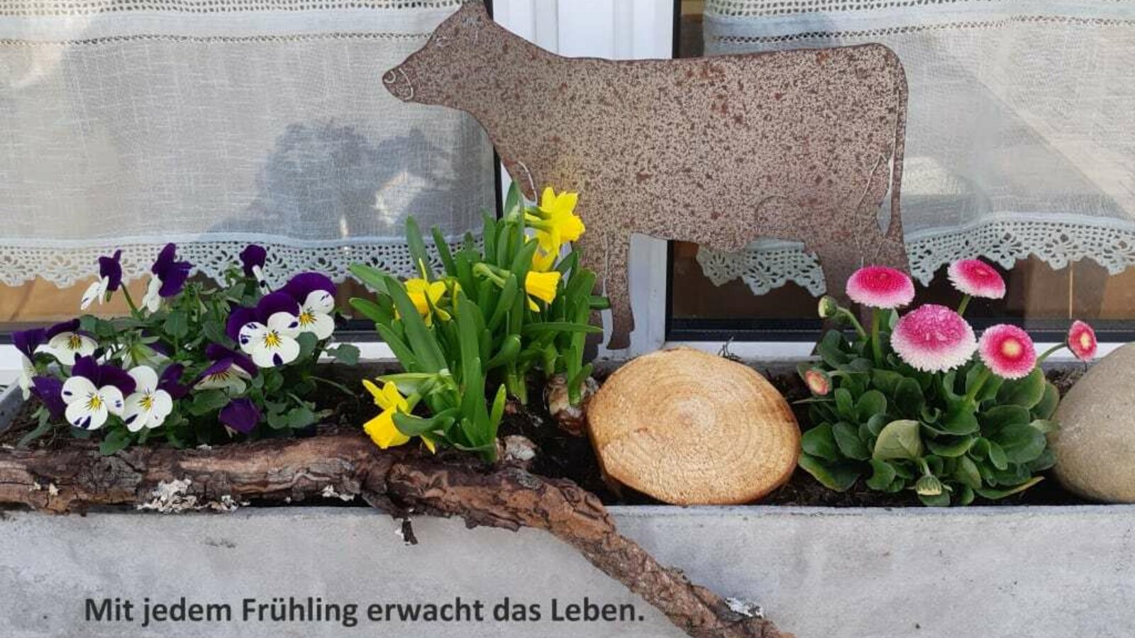 Frühling