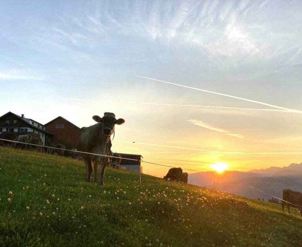 Die Sonne geht auf....