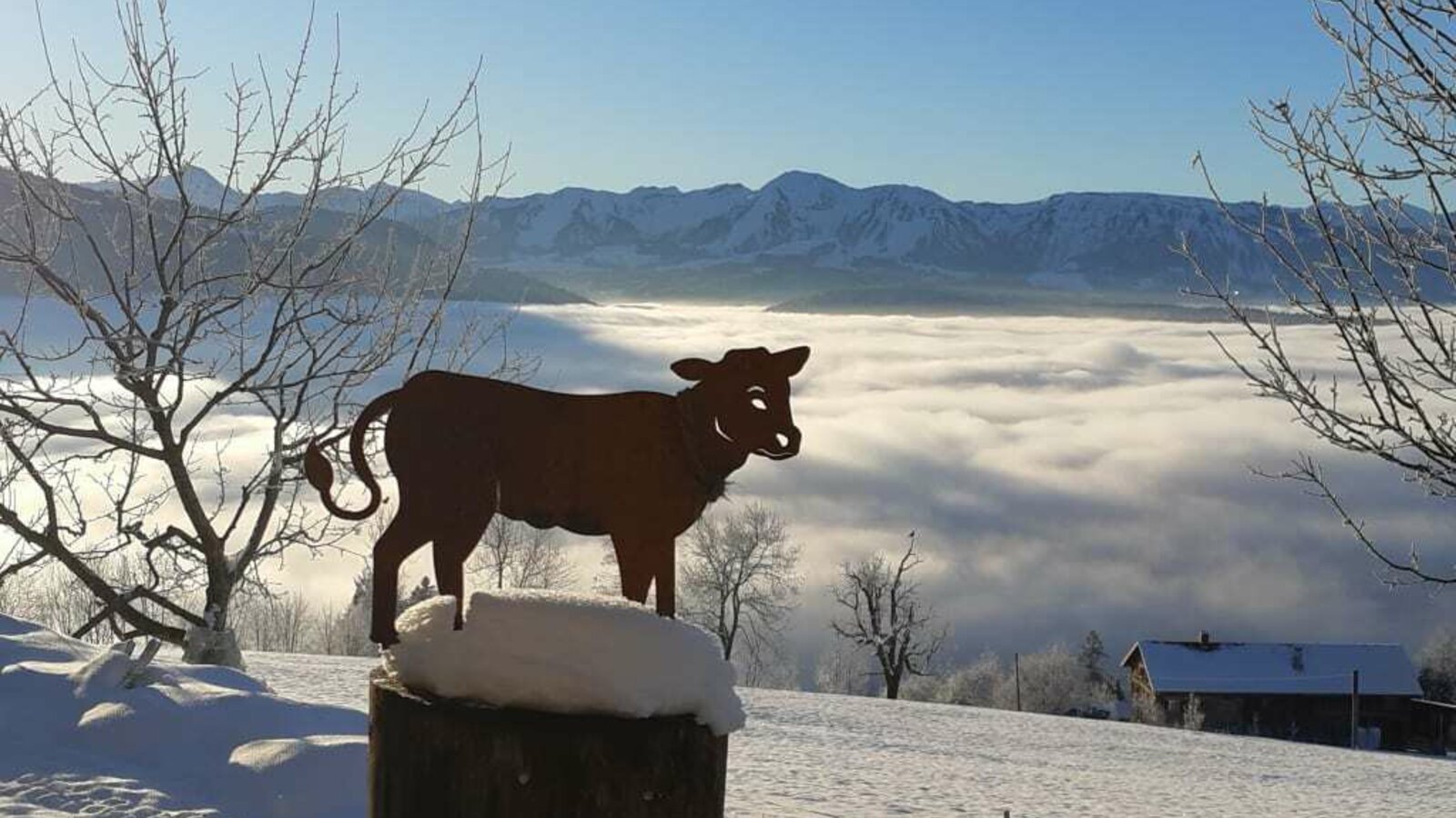 Winterpanorama