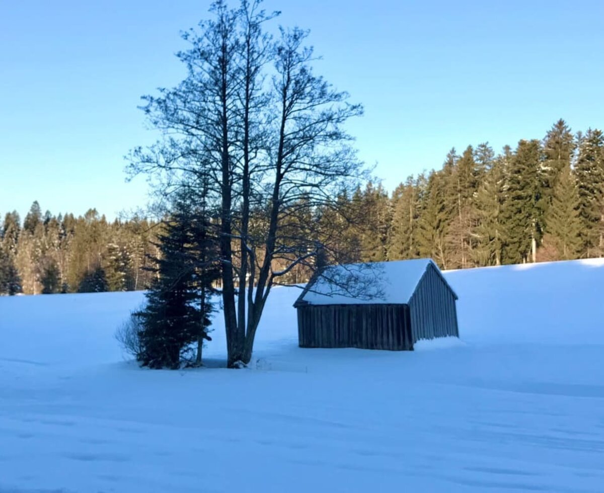 Winterwandern in Sulzberg