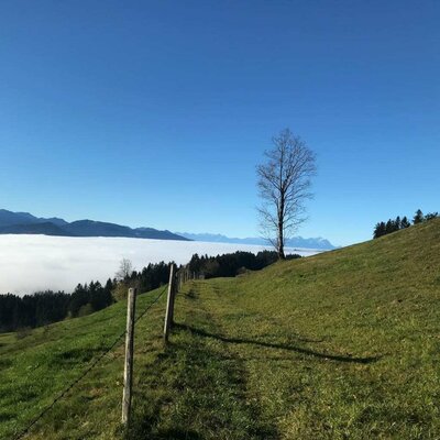 Genießen Sie die Sonne über dem Nebelmeer