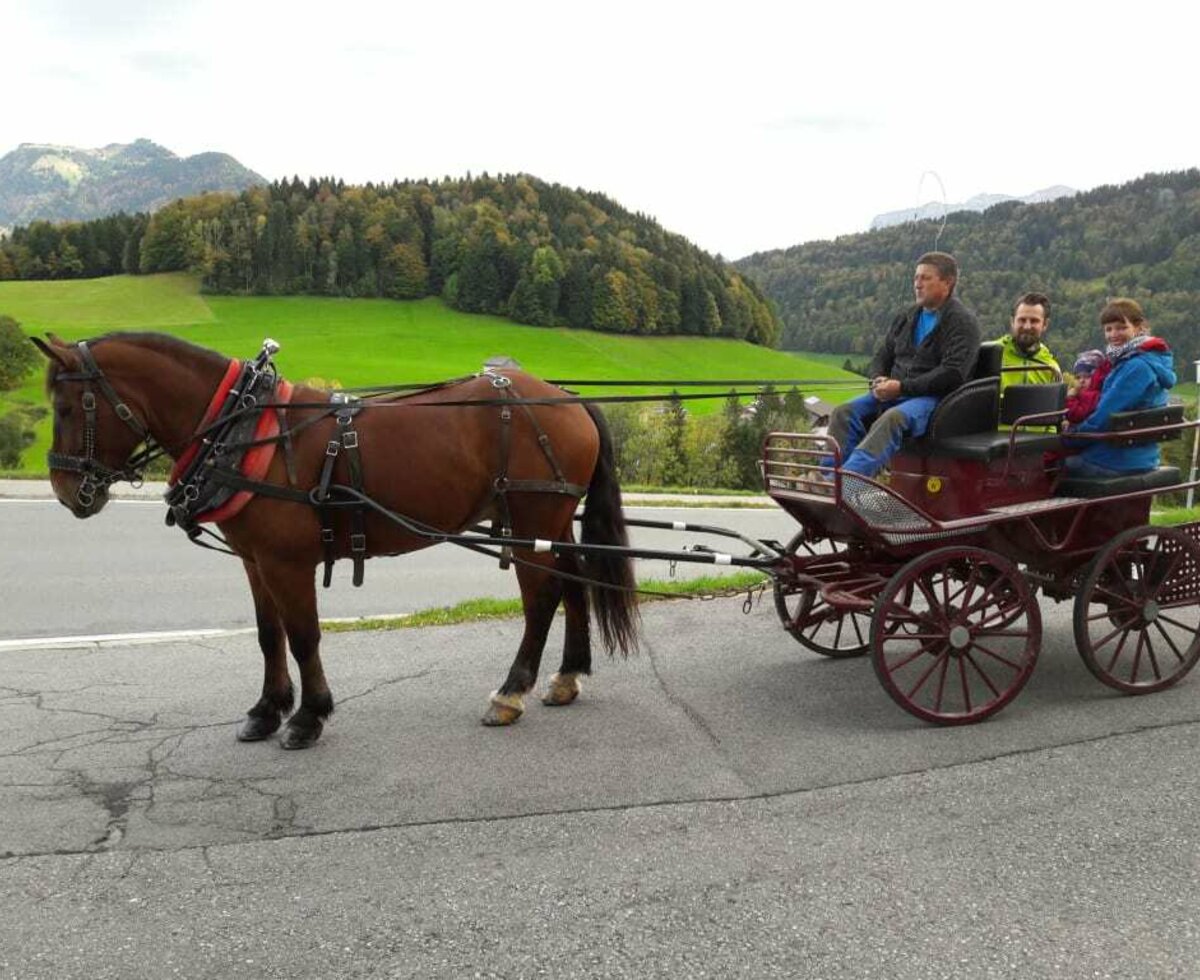  Schwarzenberg Kutschenfahrt