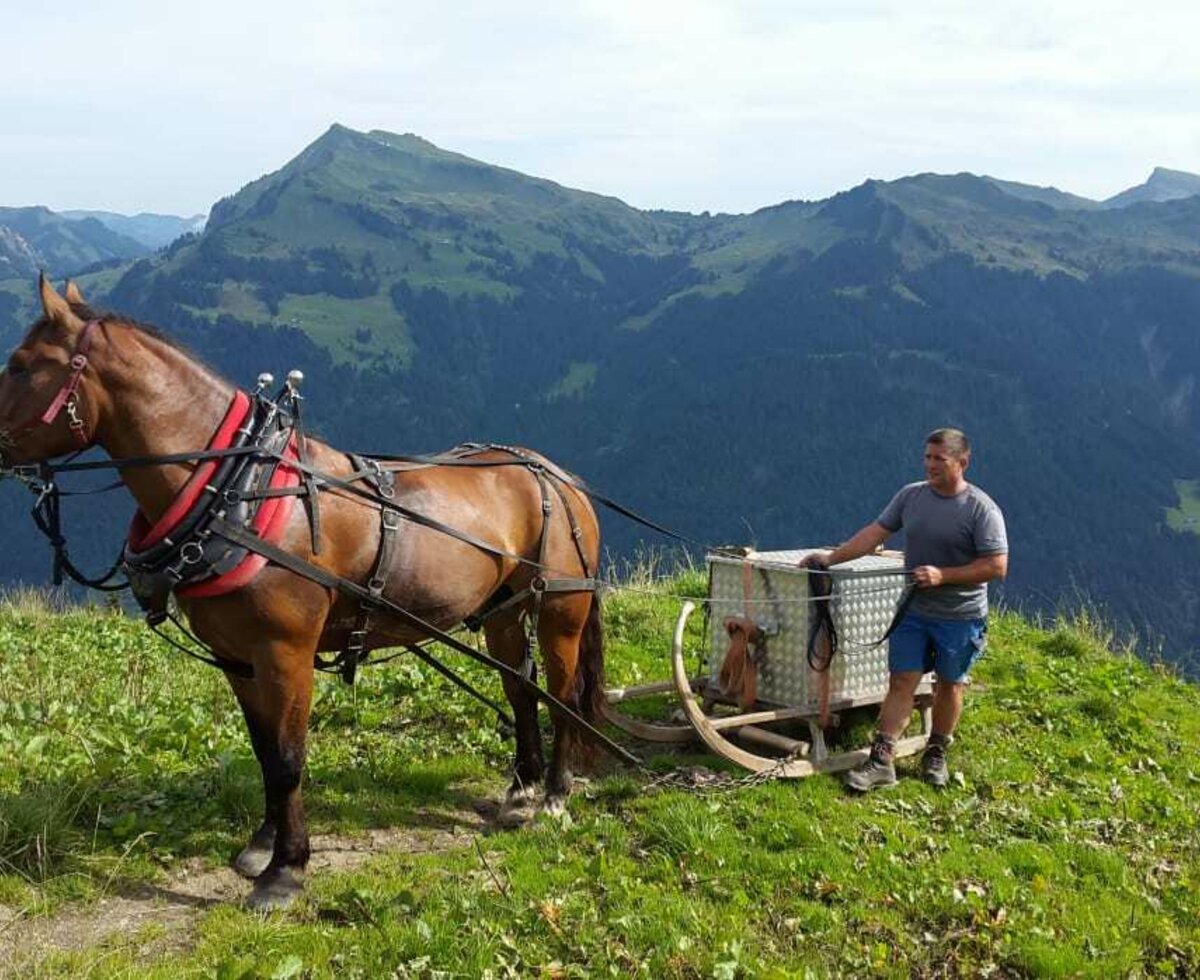 Fereinwohnung im Bregenzerwald