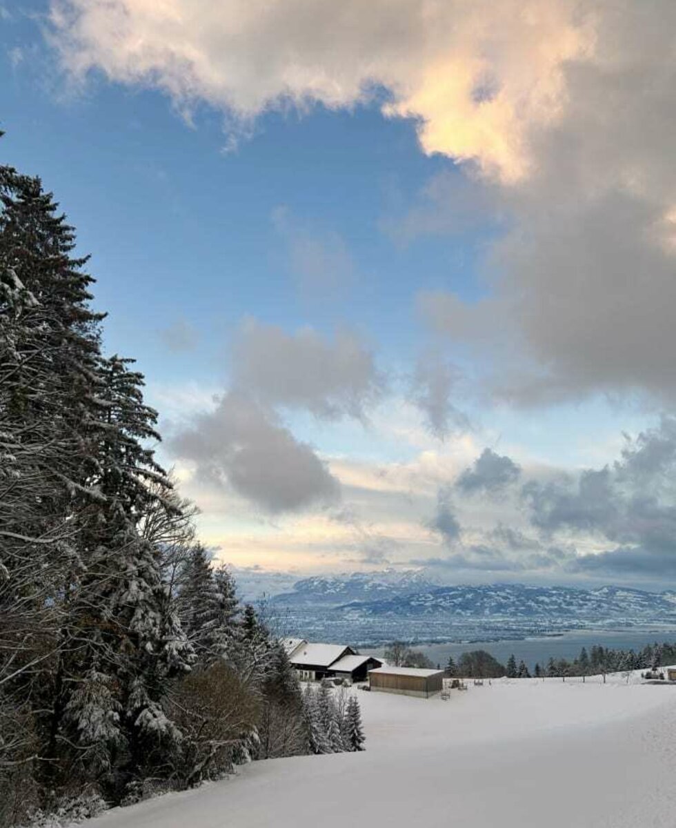 Aussicht im Winter