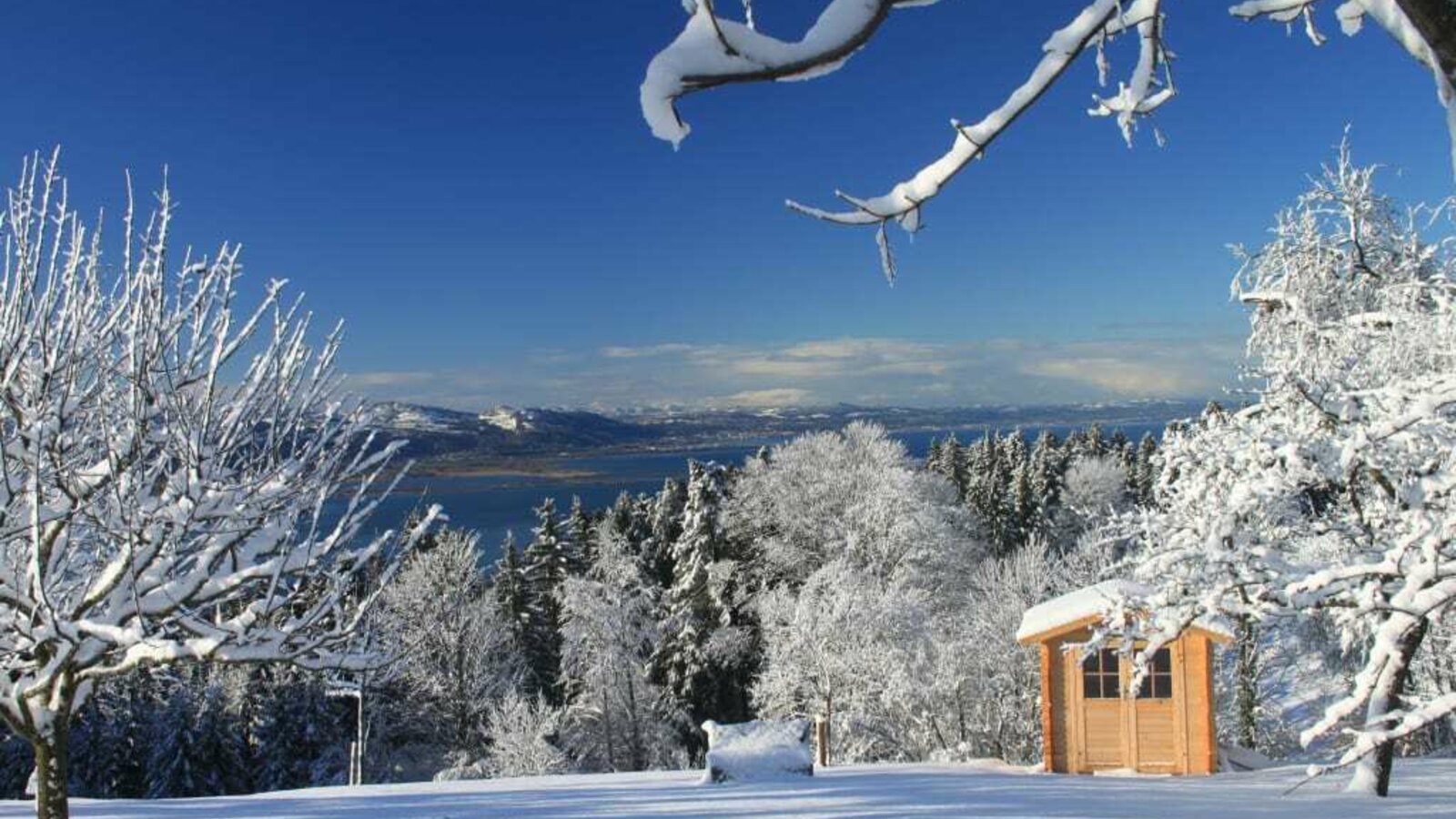 Blick auf den Bodensee