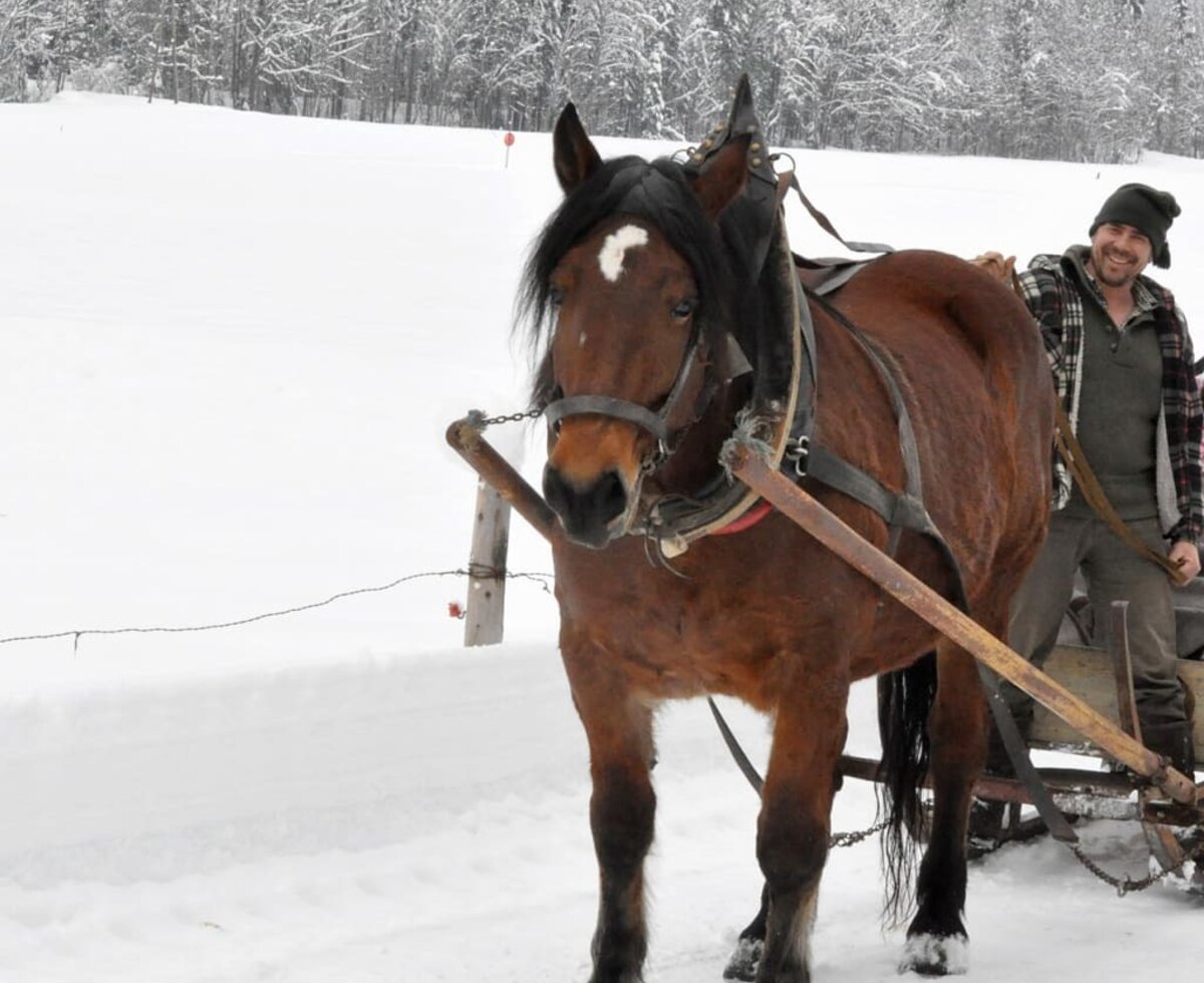 Unser Pferd Liesl und Martin