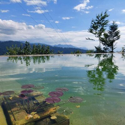 Abkühlung im Schwimmteich mit herrlichem Ausblick