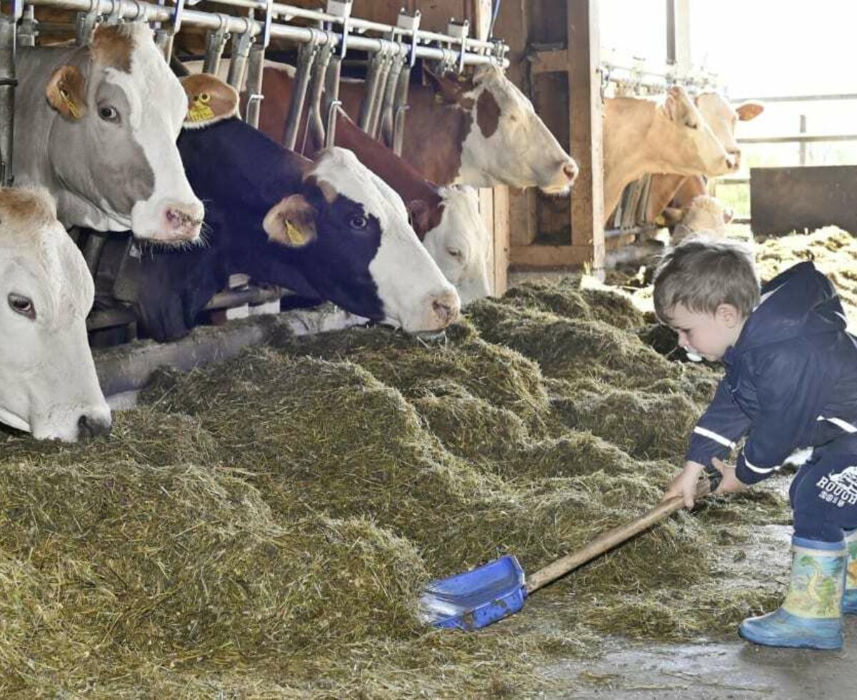 Urlaub mit Kindern in Vorarlberg.