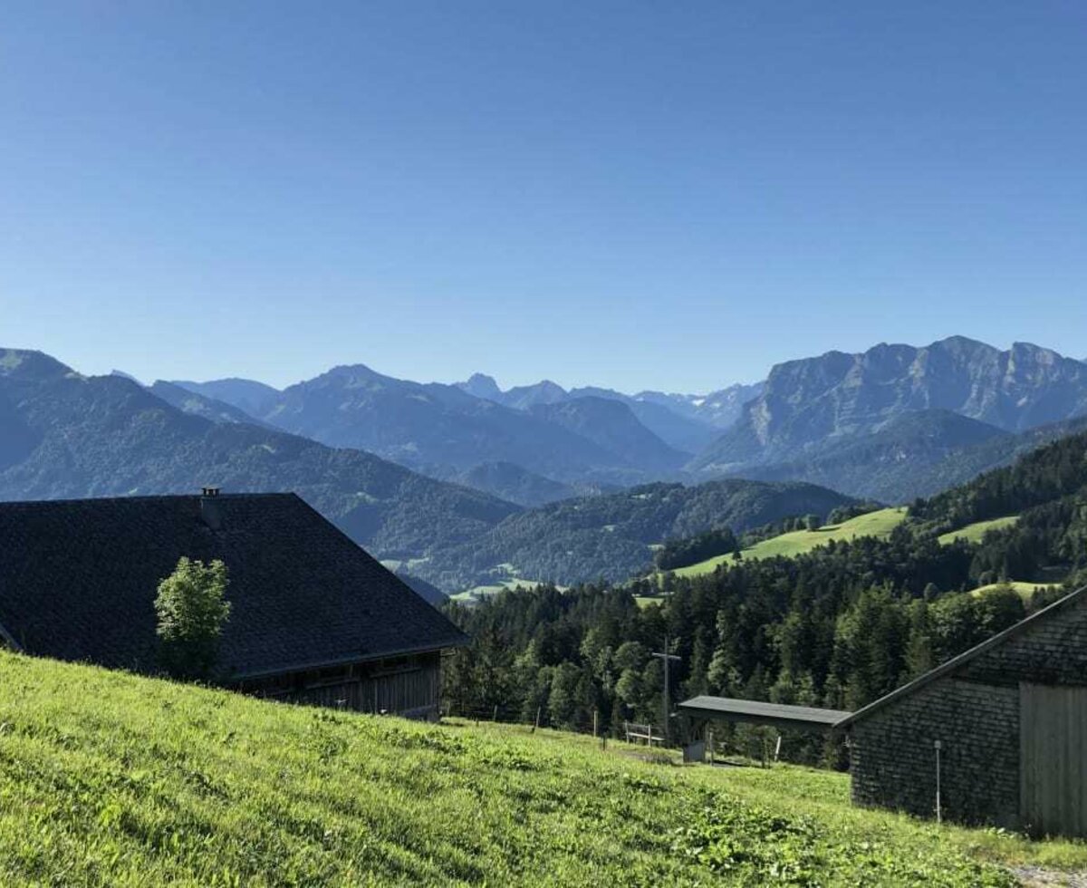 Aussicht auf die Berge des Bregenzerwaldes