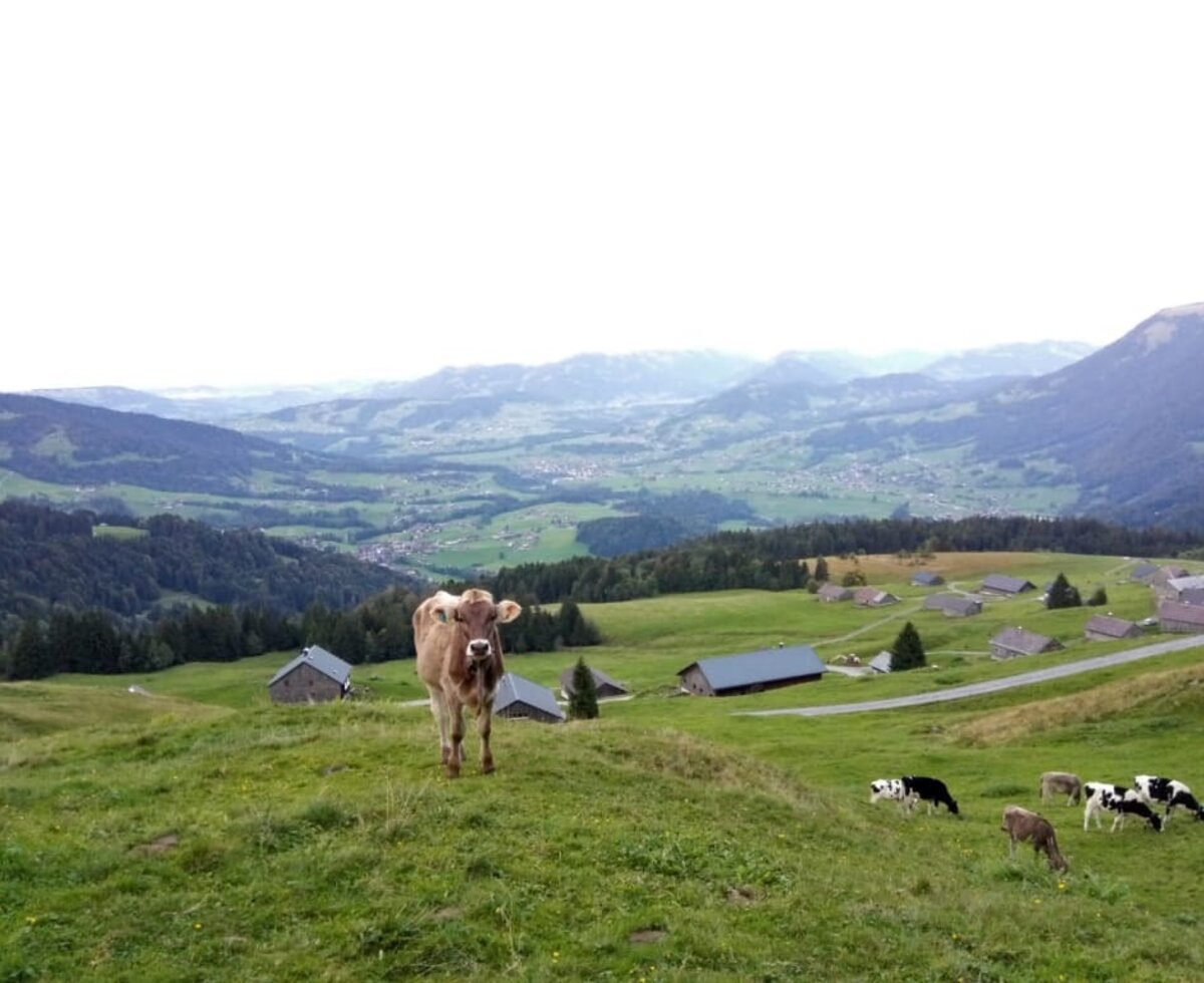 Aussicht direkt von der Hütte