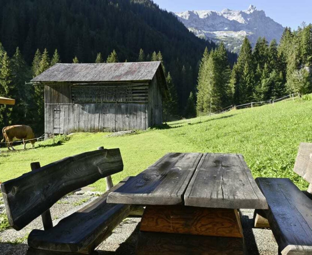 Almhütte zu vermieten, Gauertal, Montafon, Vorarlberg