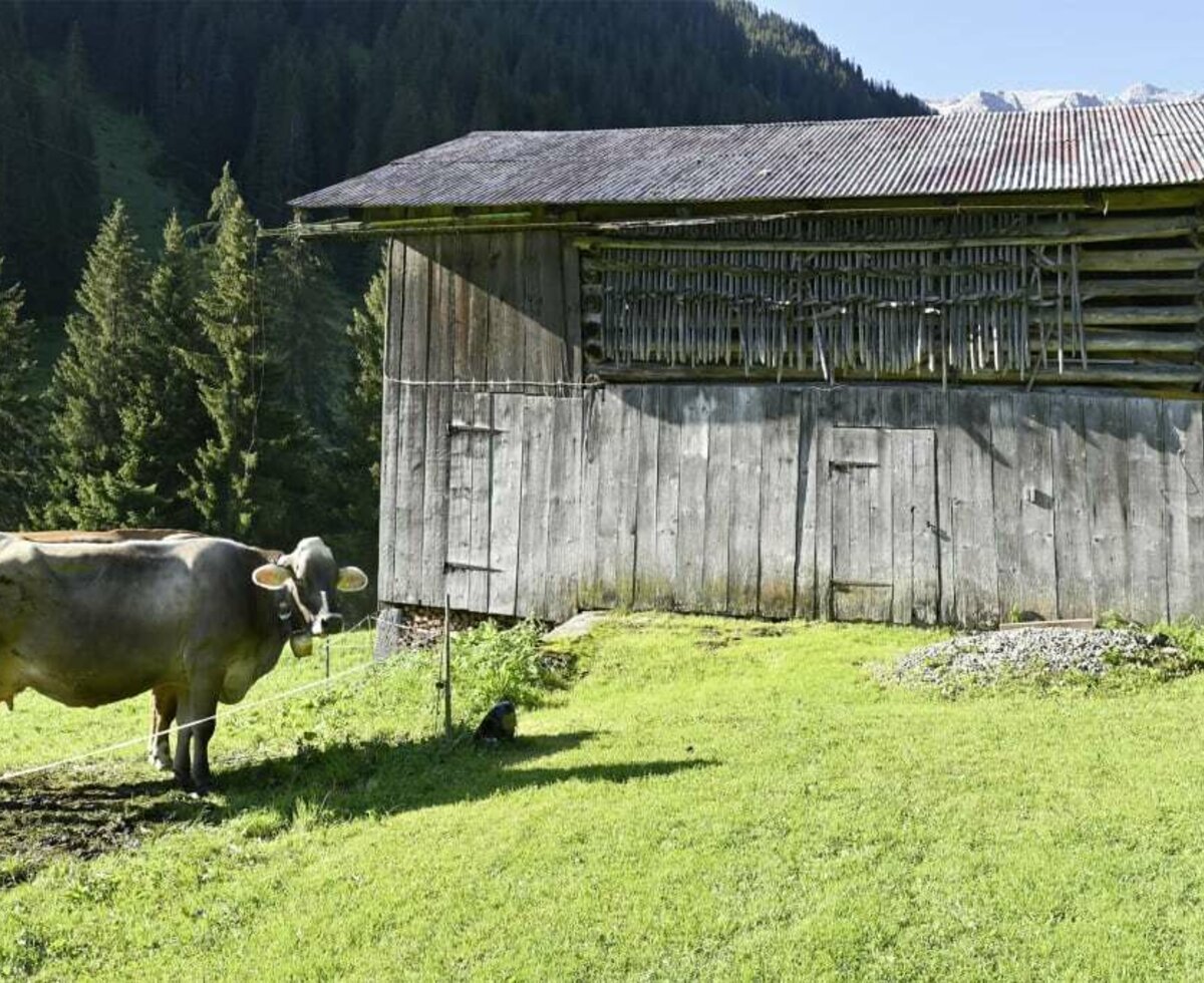 Almhütte zu vermieten, Gauertal, Montafon, Vorarlberg