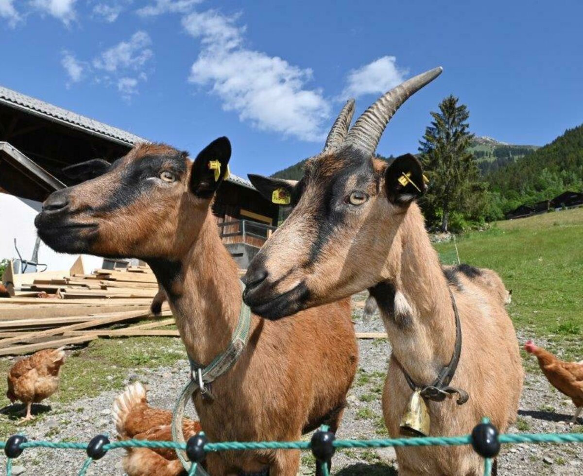 Margaret und Klara