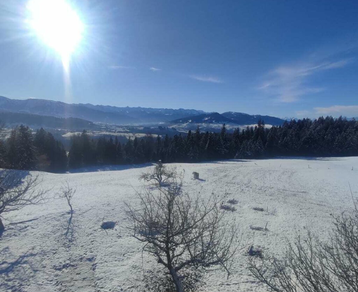 Klare Winterluft und verschneite Berge - direkt vor unserer Haustüre!